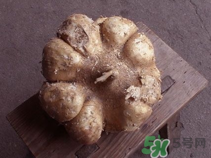 经常吃白地瓜有什么好处,吃白地瓜有什么好处 经常吃白地瓜有什么好处,吃白地瓜有什么好处