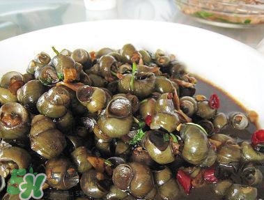 吃田螺要注意啥,吃田螺的禁忌是什么 吃田螺要注意啥,吃田螺的禁忌是什么