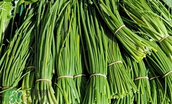 蒜苗不能和什么一起吃 会中毒,蒜苗不能和什么一起吃