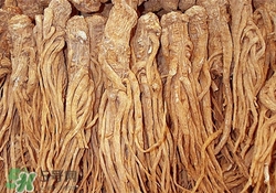 当归和党参能一起吃吗,当归和党参一起可以吗的功效和作用吃法 当归和党参能一起吃吗,当归和党参一起可以吗的功效和作用吃法