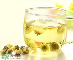 哪种菊花去火效果最好,喝什么茶去火效果比较好