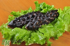 海参的功效和作用及营养价值,海参的功效和作用价格