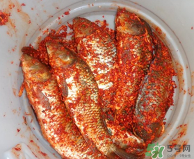 腌鱼的简介,腌鱼又叫什么