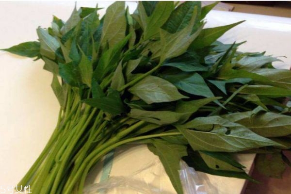 纯色猫眼美甲图片(纯色猫眼美甲图片)