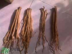 产妇吃党参有什么好处,产妇吃党参的功效和作用