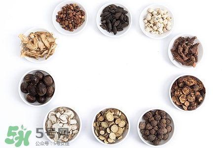 党参泡水喝的功效和作用禁忌,党参有什么作用和功效