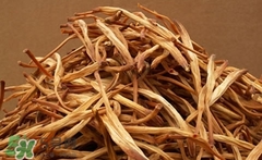 黄花菜根的功效和作用及禁忌,黄花菜根的功效和作用及食用方法 黄花菜根的功效和作用及禁忌,黄花菜根的功效和作用及食用方法