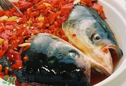 剁椒鱼头的做法 最正宗的做法视频,剁椒鱼头的做法和步骤 剁椒鱼头的做法 最正宗的做法视频,剁椒鱼头的做法和步骤