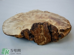 灵芝吃多了会有副作用吗?,灵芝吃多了有什么副作用