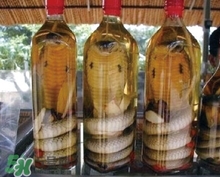 灵芝泡酒的方法,泡灵芝酒的配方大全