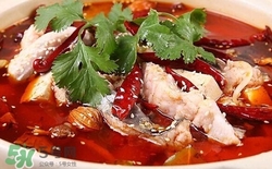 吃乌江鱼的好处,吃乌江鱼有什么禁忌 吃乌江鱼的好处,吃乌江鱼有什么禁忌