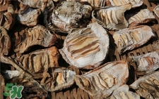 笋干发黑还能吃吗,笋干晒干后发黑可以吃吗