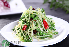 芽苗菜的营养和功效,花生芽苗菜的功效和作用 芽苗菜的营养和功效,花生芽苗菜的功效和作用