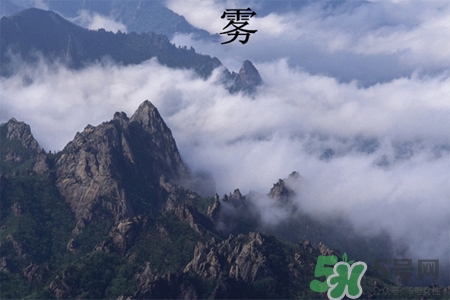 雾霾吃什么食物清肺,雾霾吃啥清肺 雾霾吃什么食物清肺,雾霾吃啥清肺