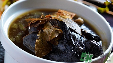 何首乌炖鸡的功效和作用,何首乌炖乌鸡的功效和作用