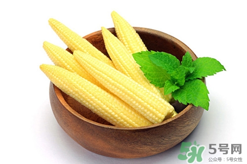 玉米笋的功效和作用,玉米笋营养价值和功效和作用