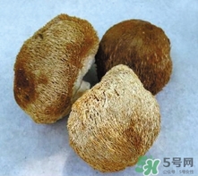 猴头菇怎么吃,猴头菇怎么吃最好吃