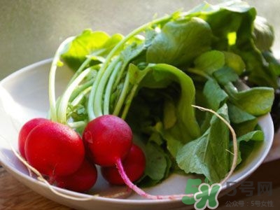 樱桃萝卜怎么吃法,樱桃萝卜 樱桃萝卜怎么吃法,樱桃萝卜