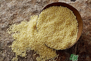 高粱米红豆饭的做法,高粱米红豆饭的功效 高粱米红豆饭的做法,高粱米红豆饭的功效