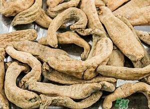 哺乳期的饮食,哺乳期膳食指南