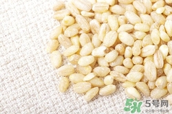 麦仁的功效和作用及食用方法,麦仁的功效和作用禁忌
