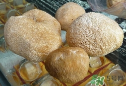 猴头菇怎么吃最养胃和功效,猴头菇怎样吃才能养胃