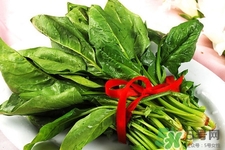 吃菠菜的好处和坏处禁忌,菠菜和什么菜不能吃