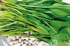 菠菜的营养价值和功效,菠菜的营养价值和功效和禁忌