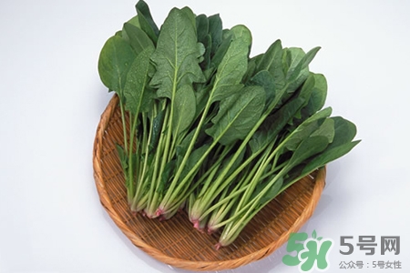 菠菜和牛奶能一起吃吗?,菠菜和牛奶能一起吃吗?为什么? 菠菜和牛奶能一起吃吗?,菠菜和牛奶能一起吃吗?为什么?