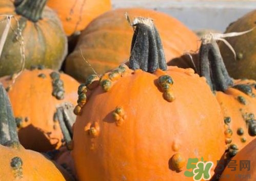 保胎能吃南瓜吗,南瓜蒂保胎的坏处