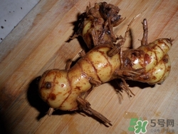 洋姜煲汤怎么做,洋姜 做法