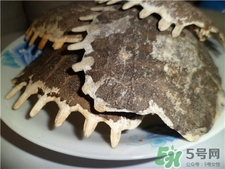 甲鱼壳的功效和作用 吃法怎么吃,甲鱼壳的功效和作用及禁忌
