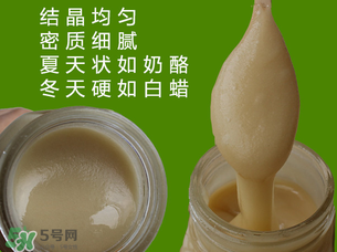 冬蜜的营养价值,冬蜜的作用