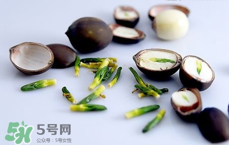 莲子心功效作用和主治,莲子心功效作用及禁忌