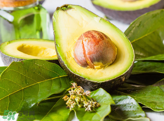 牛油果切开后可以保存多久,切开牛油果能保存多久