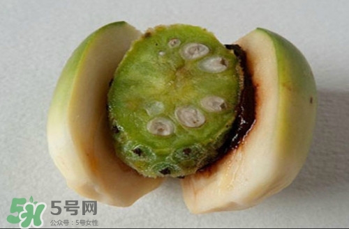 空气质量对人体健康的影响,室内植物对人体健康的影响