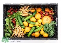 芥兰凉拌的做法大全窍门,芥兰凉拌的做法