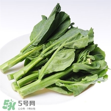 热性还是凉性怎么区分的,热性凉性食物一览表