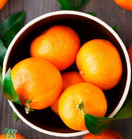 吃桔子的好处和坏处,吃桔子的好处和功效