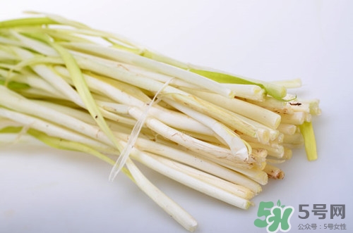 韭黄的功效和作用,韭黄的功效和作用及禁忌