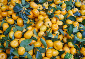 小青柑的功效和作用,新鲜橘子皮的功效