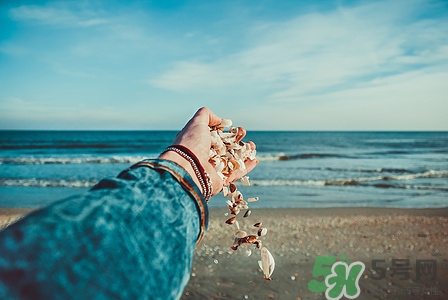 孕早期可以吃贝壳类吗,哪些贝壳类孕妇不能吃 孕早期可以吃贝壳类吗,哪些贝壳类孕妇不能吃