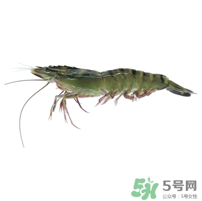 草虾怎么做好吃,草虾怎么养