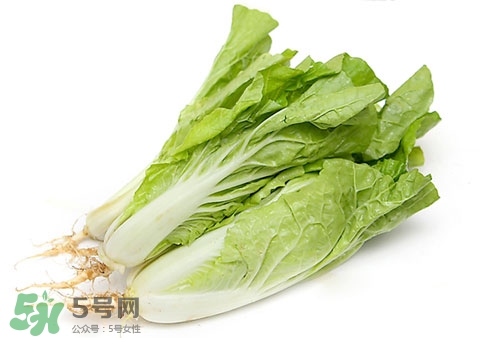 白菜根有营养吗,白菜根有营养还是白菜叶有营养