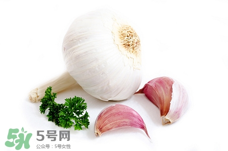 大蒜根的作用和功效,大蒜根须的功效和作用