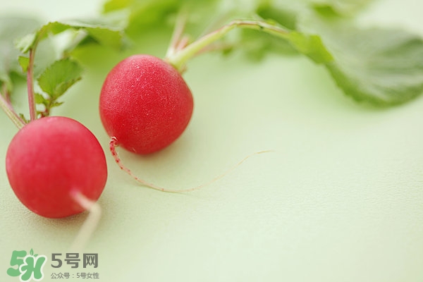 中医萝卜根的功效和作用,青萝卜的作用