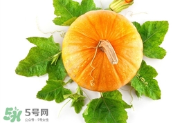 南瓜叶的功效和作用,南瓜叶的副作用,南瓜叶的功效和作用及禁忌有哪些