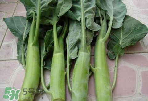 芥蓝的怎么做好吃,吃芥蓝的好处