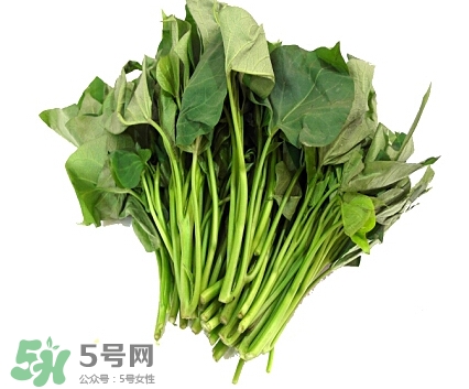 蒜蓉番薯叶的做法,蒜蓉番薯叶怎么炒好吃窍门