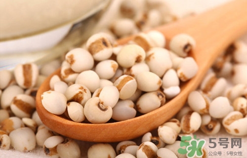 薏米为什么有霉味,薏米为什么有霉味 薏米有股霉味正常吗